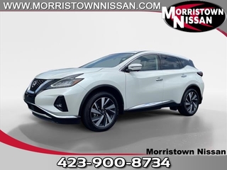 2024 Nissan Murano for sale in Morristown TN