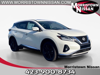 2023 Nissan Murano for sale in Morristown TN