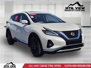 2024 Nissan Murano for sale in Mcdonald TN