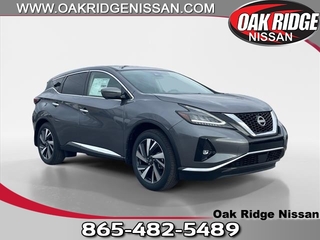 2024 Nissan Murano for sale in Oak Ridge TN