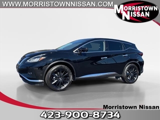 2024 Nissan Murano for sale in Morristown TN