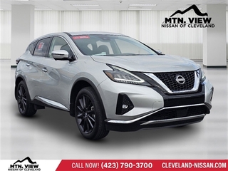 2024 Nissan Murano for sale in Mcdonald TN