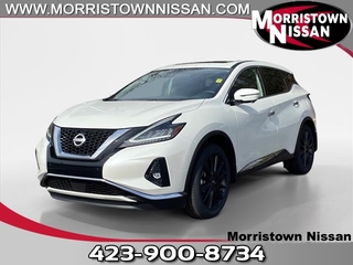 2024 Nissan Murano for sale in Morristown TN