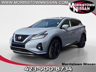 2024 Nissan Murano for sale in Morristown TN