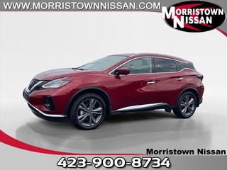 2024 Nissan Murano for sale in Morristown TN