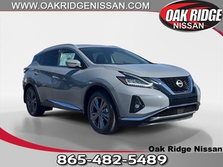 2024 Nissan Murano for sale in Oak Ridge TN