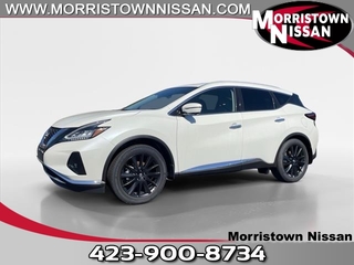 2024 Nissan Murano for sale in Morristown TN