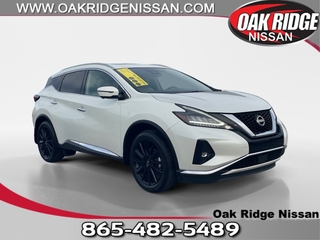 2023 Nissan Murano for sale in Oak Ridge TN