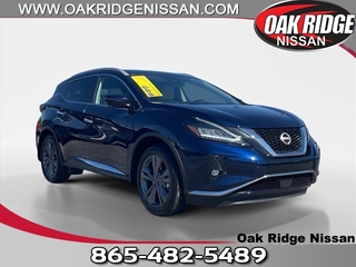 2024 Nissan Murano for sale in Oak Ridge TN