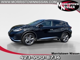 2024 Nissan Murano for sale in Morristown TN