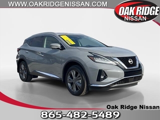 2024 Nissan Murano for sale in Oak Ridge TN