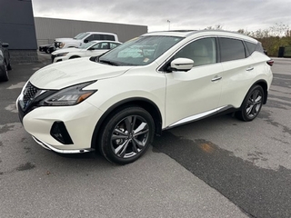 2023 Nissan Murano for sale in Greeneville TN