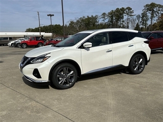 2024 Nissan Murano for sale in Shelby NC