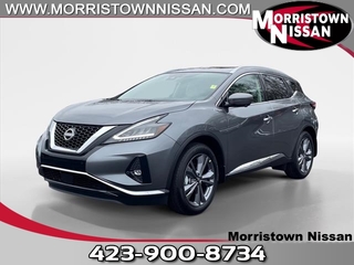 2024 Nissan Murano for sale in Morristown TN