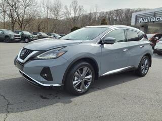 2024 Nissan Murano for sale in Kingsport TN