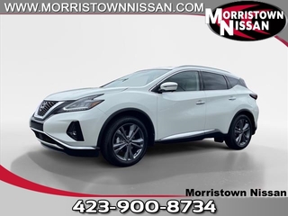 2024 Nissan Murano for sale in Morristown TN