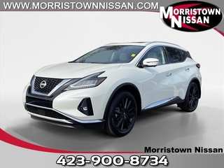 2024 Nissan Murano for sale in Morristown TN