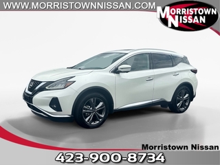 2023 Nissan Murano for sale in Morristown TN