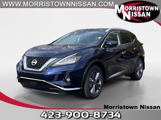 2024 Nissan Murano for sale in Morristown TN