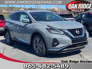 2024 Nissan Murano for sale in Oak Ridge TN