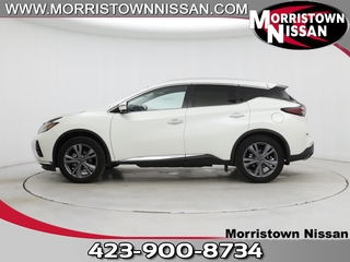 2022 Nissan Murano for sale in Morristown TN