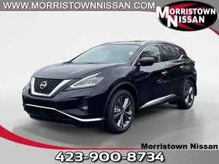 2024 Nissan Murano for sale in Morristown TN