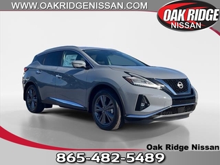 2024 Nissan Murano for sale in Oak Ridge TN