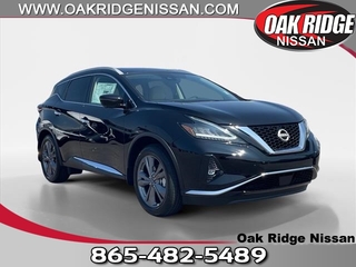 2024 Nissan Murano for sale in Oak Ridge TN