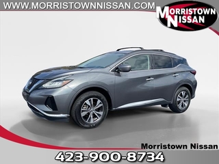 2019 Nissan Murano for sale in Morristown TN