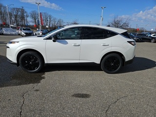 2025 Nissan Murano for sale in Auburn MA