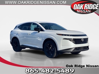 2025 Nissan Murano for sale in Oak Ridge TN