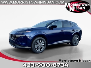 2025 Nissan Murano for sale in Morristown TN