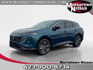 2026 Nissan Murano for sale in Morristown TN