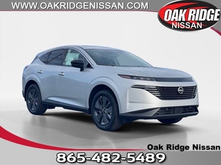 2025 Nissan Murano for sale in Oak Ridge TN