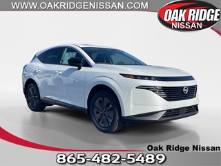 2025 Nissan Murano for sale in Oak Ridge TN