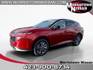 2025 Nissan Murano for sale in Morristown TN