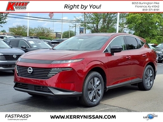 2025 Nissan Murano for sale in Florence KY