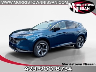 2025 Nissan Murano for sale in Morristown TN