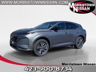 2025 Nissan Murano for sale in Morristown TN