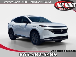 2025 Nissan Murano for sale in Oak Ridge TN