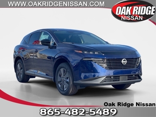 2025 Nissan Murano for sale in Oak Ridge TN