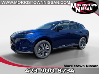 2025 Nissan Murano for sale in Morristown TN