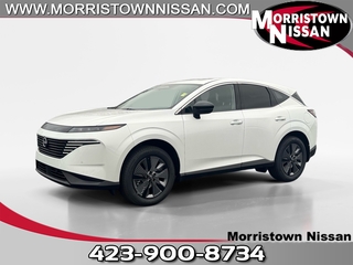 2026 Nissan Murano for sale in Morristown TN