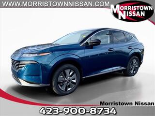 2025 Nissan Murano for sale in Morristown TN