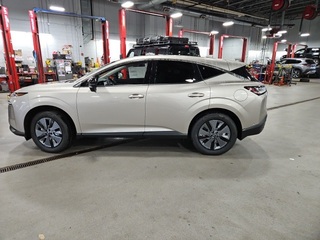2025 Nissan Murano for sale in Auburn MA