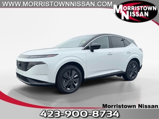 2025 Nissan Murano for sale in Morristown TN