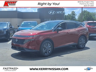 2025 Nissan Murano for sale in Florence KY