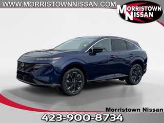 2026 Nissan Murano for sale in Morristown TN