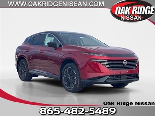 2025 Nissan Murano for sale in Oak Ridge TN