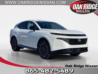 2025 Nissan Murano for sale in Oak Ridge TN